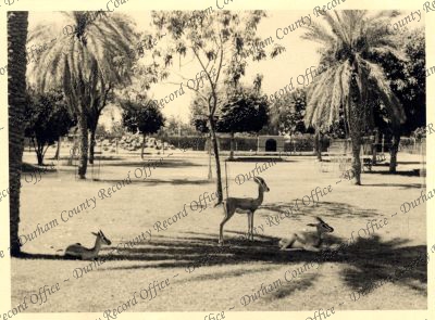 ref: D/DLI 7/301/1(2)