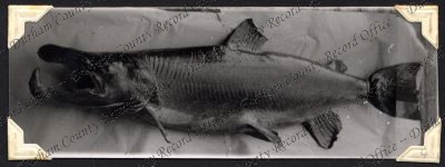 ref: D/DLI 7/301/1(4)