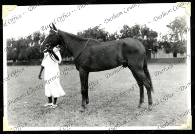 ref: D/DLI 7/301/1(14)