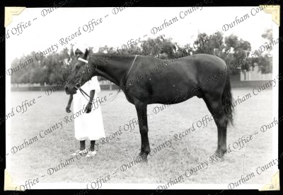 ref: D/DLI 7/301/1(15)