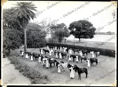 ref: D/DLI 7/301/1(16)