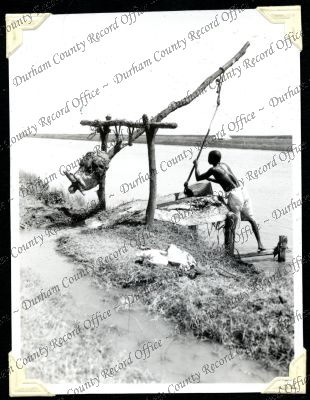 ref: D/DLI 7/301/1(32)