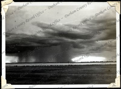 ref: D/DLI 7/301/1(36)