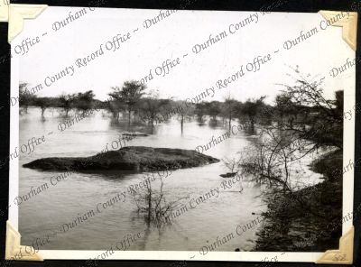 ref: D/DLI 7/301/1(38)