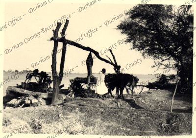 ref: D/DLI 7/301/1(41)