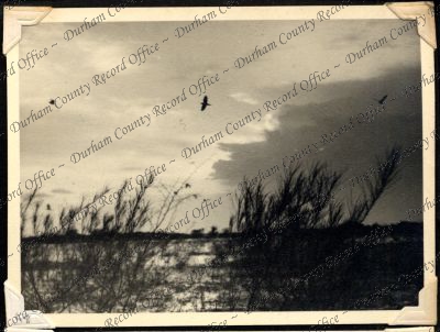 ref: D/DLI 7/301/1(48)