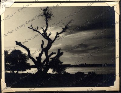 ref: D/DLI 7/301/1(50)