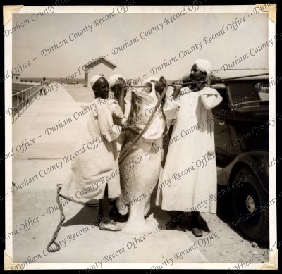 ref: D/DLI 7/301/1(61)