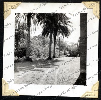 ref: D/DLI 7/301/2(1)