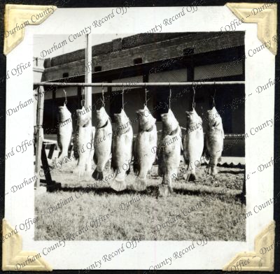 ref: D/DLI 7/301/2(6)