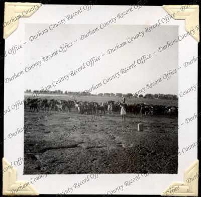 ref: D/DLI 7/301/2(11)