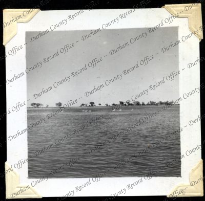 ref: D/DLI 7/301/2(15)