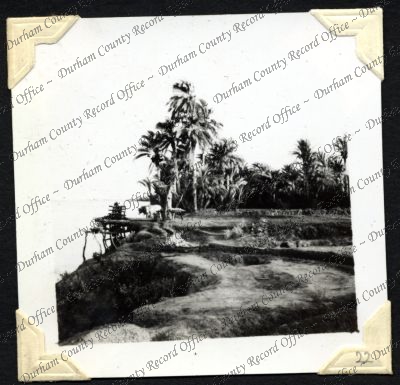 ref: D/DLI 7/301/2(22)