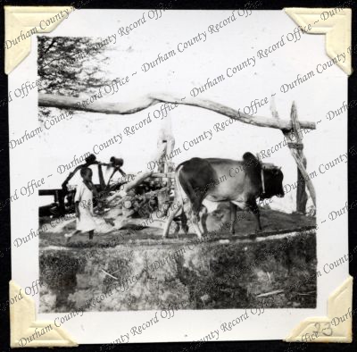 ref: D/DLI 7/301/2(23)