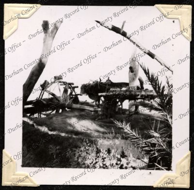 ref: D/DLI 7/301/2(24)