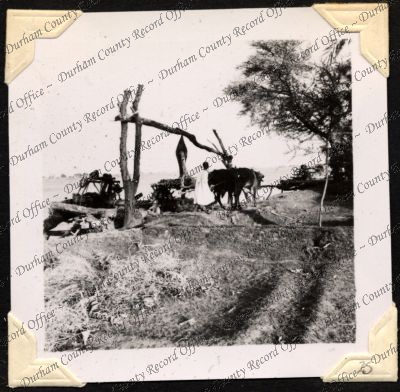 ref: D/DLI 7/301/2(25)