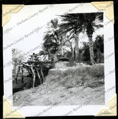 ref: D/DLI 7/301/2(26)