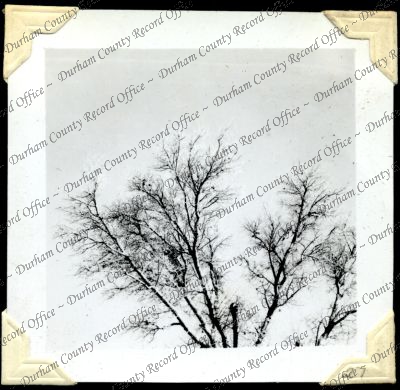 ref: D/DLI 7/301/2(27)