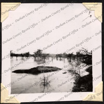 ref: D/DLI 7/301/2(29)