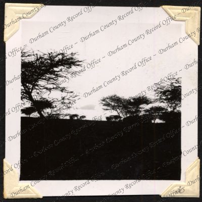 ref: D/DLI 7/301/2(30)