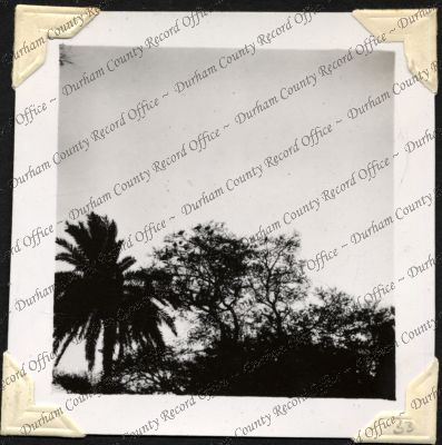 ref: D/DLI 7/301/2(33)