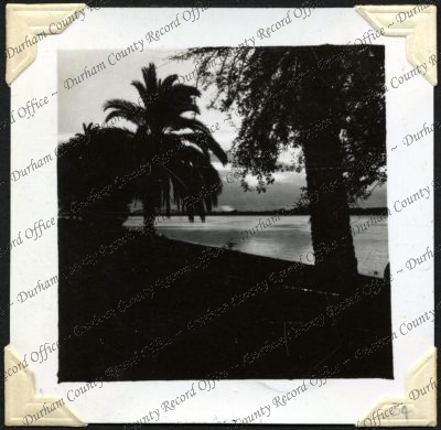 ref: D/DLI 7/301/2(34)