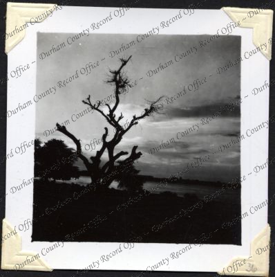 ref: D/DLI 7/301/2(36)