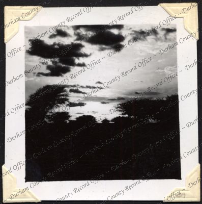 ref: D/DLI 7/301/2(39)