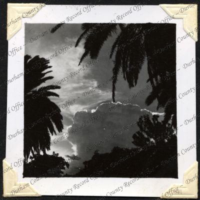 ref: D/DLI 7/301/2(41)