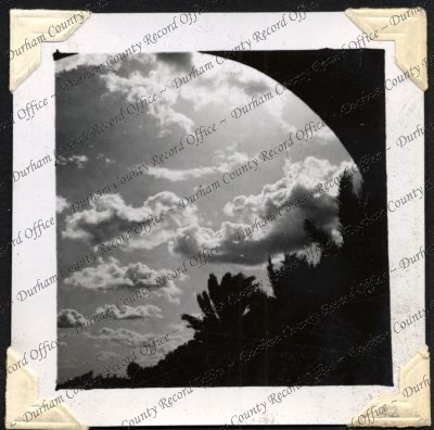 ref: D/DLI 7/301/2(42)