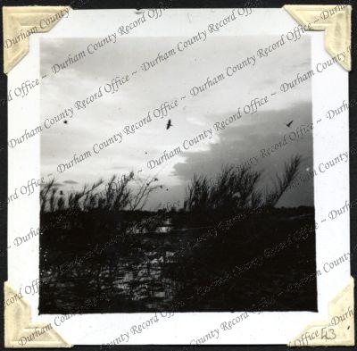 ref: D/DLI 7/301/2(43)