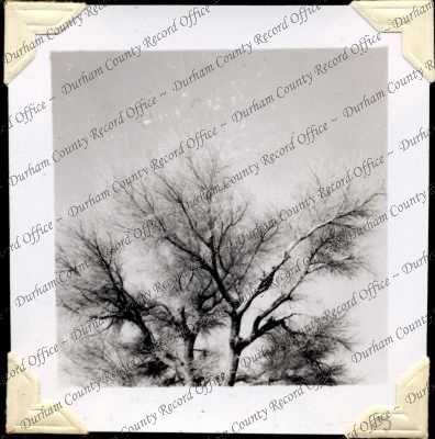 ref: D/DLI 7/301/2(55)