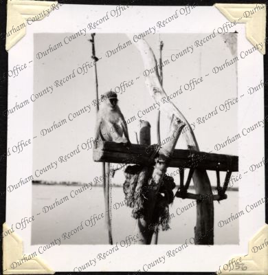 ref: D/DLI 7/301/2(56)