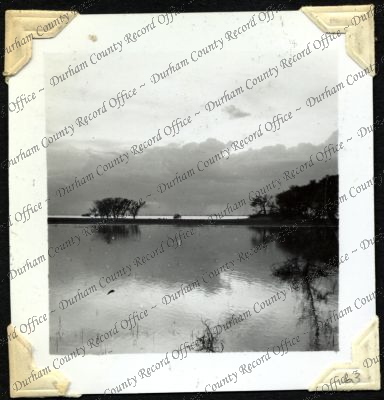 ref: D/DLI 7/301/2(63)