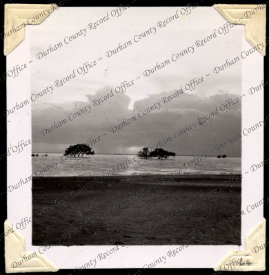 ref: D/DLI 7/301/2(64)