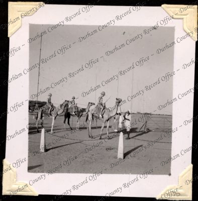 ref: D/DLI 7/301/2(70)