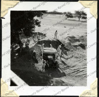 ref: D/DLI 7/301/2(75)