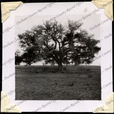 ref: D/DLI 7/301/2(76)