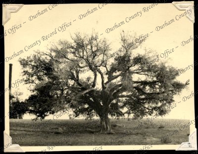 ref: D/DLI 7/301/2(91)