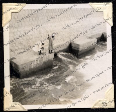 ref: D/DLI 7/301/2(93)