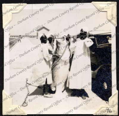 ref: D/DLI 7/301/2(96)