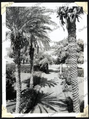 ref: D/DLI 7/301/2(104)