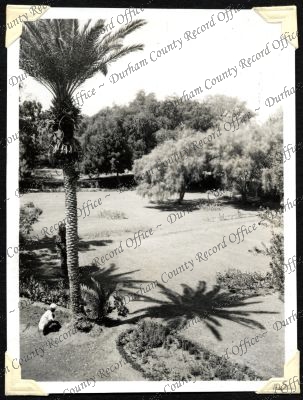 ref: D/DLI 7/301/2(105)