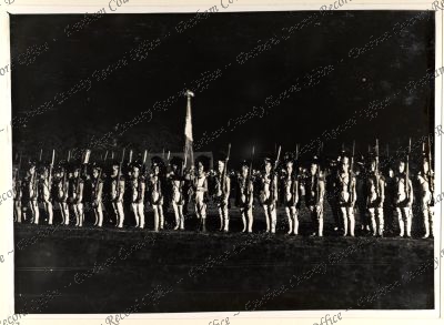 ref: D/DLI 7/301/3(37)