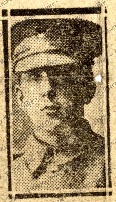 ref: D/DLI 7/317/3(1)