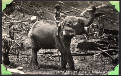 ref: D/DLI 7/333/18(22)