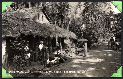 ref: D/DLI 7/333/18(23)