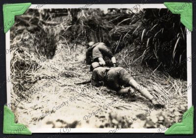 ref: D/DLI 7/333/18(43)