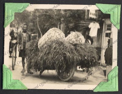 ref: D/DLI 7/333/18(89)