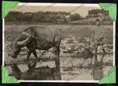 ref: D/DLI 7/333/18(90)